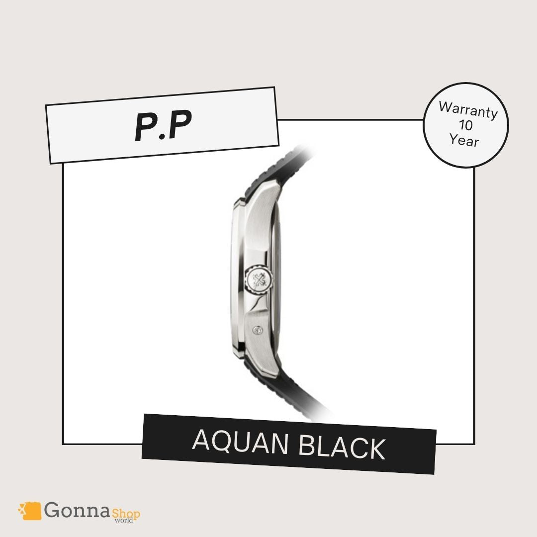 Luxury Watch P.p Aquan Black Travel